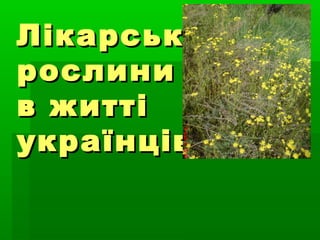 ЛікарськіЛікарські
рослинирослини
в життів житті
українцівукраїнців
 
