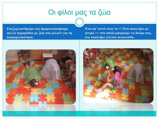 Επεξεργαστήκαμε και δραματοποιήσαμε
πολλά παραμύθια με ζώα που μιλούν για τη
διαφορετικότητα.
Ένα απ’ αυτά είναι το <<Ένα σκουλήκι με
φτερά >> στο οποίο μπορούμε να δούμε πως
ένα σκουλήκι γίνεται πεταλούδα.
Οι φίλοι μας τα ζώα
 