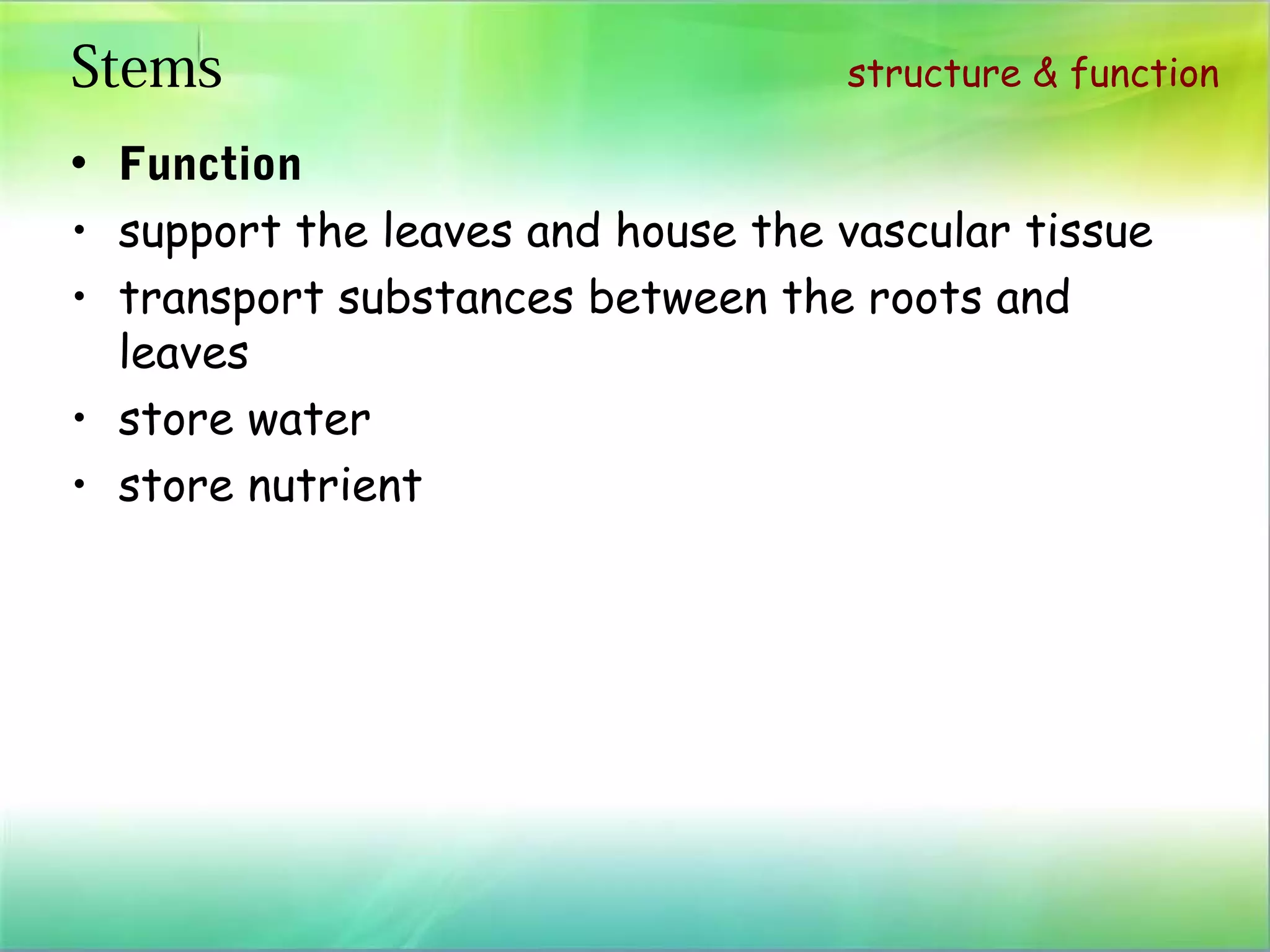 plant structure and function | PPT