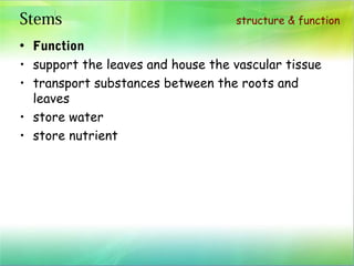 plant structure and function | PPT