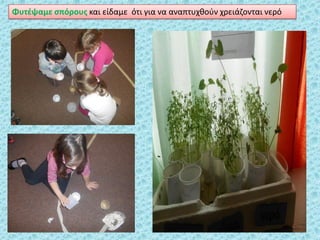 Φυτζψαμε ςπόρουσ και είδαμε ότι για να αναπτυχκοφν χρειάηονται νερό
 