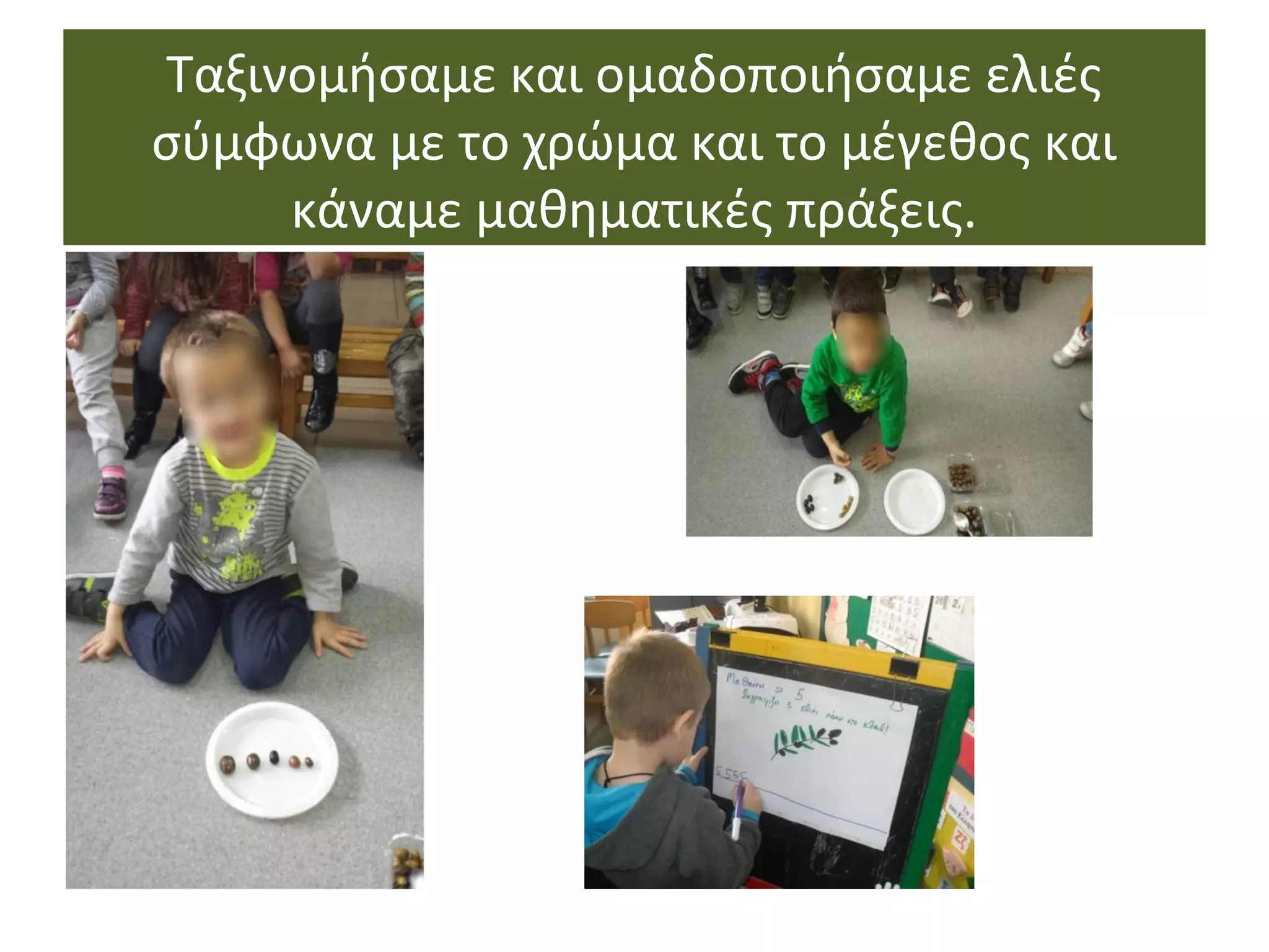 Ταξινομήσαμε και ομαδοποιήσαμε ελιές
σύμφωνα με το χρώμα και το μέγεθος και
κάναμε μαθηματικές πράξεις.
 