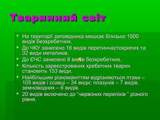  На території заповідника мешкає близько 1500На території заповідника мешкає близько 1500
видів безхребетних.видів безхребетних.
 До ЧКУ занесено 16 видів перетинчастокрилих таДо ЧКУ занесено 16 видів перетинчастокрилих та
32 види метеликів.32 види метеликів.
 До ЄЧС занесено 8 видів безхребетних.До ЄЧС занесено 8 видів безхребетних.
 Кількість зареєстрованих хребетних тваринКількість зареєстрованих хребетних тварин
становить 153 види.становить 153 види.
 Найбільшим різноманіттям відрізняються птахи –Найбільшим різноманіттям відрізняються птахи –
105 видів і ссавці – 34 види; плазунів – 7 видів,105 видів і ссавці – 34 види; плазунів – 7 видів,
земноводних – 6 видів.земноводних – 6 видів.
 20 видів включено до “червоних переліків “ різного20 видів включено до “червоних переліків “ різного
рівня.рівня.
Тваринний світТваринний світ
 