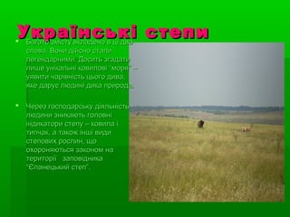 Українські степиУкраїнські степи Багато змісту вкладено в ці дваБагато змісту вкладено в ці два
слова. Вони дійсно сталислова. Вони дійсно стали
легендарними. Досить згадатилегендарними. Досить згадати
лише унікальні ковилові “моря” –лише унікальні ковилові “моря” –
уявити чарівність цього дива,уявити чарівність цього дива,
яке дарує людині дика природа.яке дарує людині дика природа.
 Через господарську діяльністьЧерез господарську діяльність
людини зникають головнілюдини зникають головні
індикатори степу – ковила ііндикатори степу – ковила і
типчак, а також інші видитипчак, а також інші види
степових рослин, щостепових рослин, що
охороняються законом наохороняються законом на
території заповідникатериторії заповідника
“Єланецький степ”.“Єланецький степ”.
 