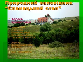 Природний заповідникПриродний заповідник
“Єланецький степ”“Єланецький степ”
 АдресаАдреса
адміністраціїадміністрації
 Індекс - 55553Індекс - 55553
 с. Калинівкас. Калинівка
 Єланецький районЄланецький район
 Миколаївська областьМиколаївська область
 Тел./факс (5159) 9-72-14Тел./факс (5159) 9-72-14
 ДиректорДиректор
 Драмарецький СергійДрамарецький Сергій
ВікторовичВікторович
 Моб. +380967693749Моб. +380967693749
 