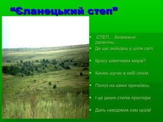  СТЕП… безмежнаСТЕП… безмежна
далечінь…далечінь…
 Де ще знайдеш у цілім світіДе ще знайдеш у цілім світі
 Красу ковилових морів?Красу ковилових морів?
 Канюк шугає в небі синім,Канюк шугає в небі синім,
 Полоз на камні причаївсь.Полоз на камні причаївсь.
 І це диких степів просториІ це диких степів простори
 Даль невідомих нам країв!Даль невідомих нам країв!
““Єланецький степ”Єланецький степ”
 