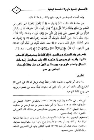 الأغصان الندية في شرح السيرة النبوية