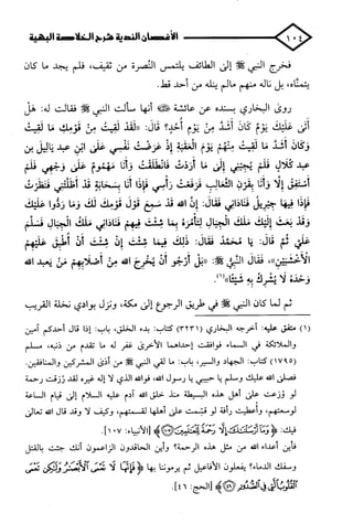 الأغصان الندية في شرح السيرة النبوية