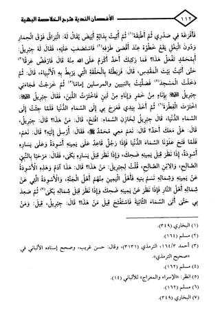 الأغصان الندية في شرح السيرة النبوية