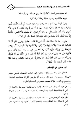 الأغصان الندية في شرح السيرة النبوية