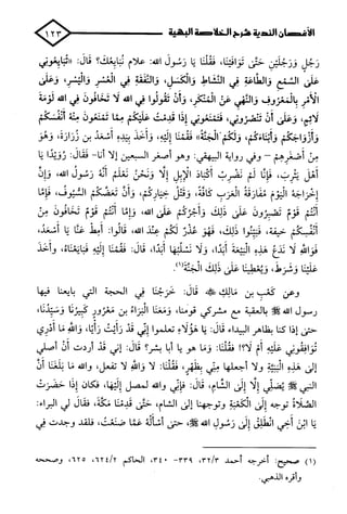 الأغصان الندية في شرح السيرة النبوية