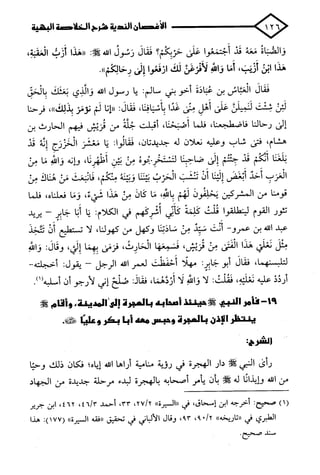 الأغصان الندية في شرح السيرة النبوية