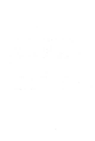 الأغصان الندية في شرح السيرة النبوية