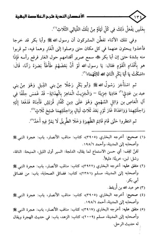 الأغصان الندية في شرح السيرة النبوية