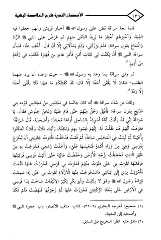 الأغصان الندية في شرح السيرة النبوية