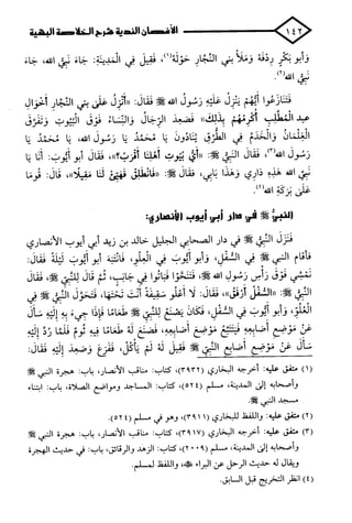 الأغصان الندية في شرح السيرة النبوية