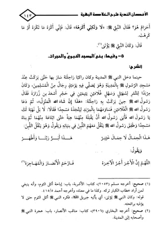 الأغصان الندية في شرح السيرة النبوية