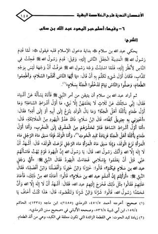 الأغصان الندية في شرح السيرة النبوية