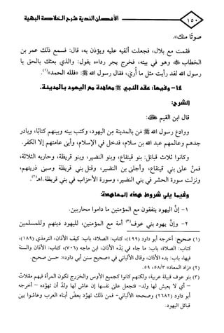 الأغصان الندية في شرح السيرة النبوية