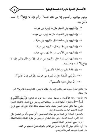 الأغصان الندية في شرح السيرة النبوية