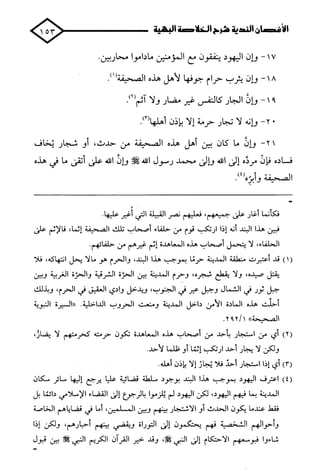 الأغصان الندية في شرح السيرة النبوية