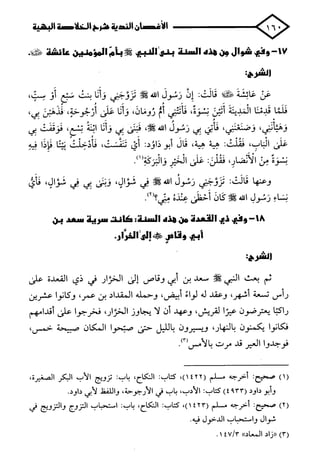 الأغصان الندية في شرح السيرة النبوية