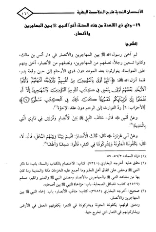 الأغصان الندية في شرح السيرة النبوية