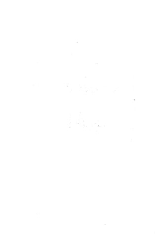 الأغصان الندية في شرح السيرة النبوية