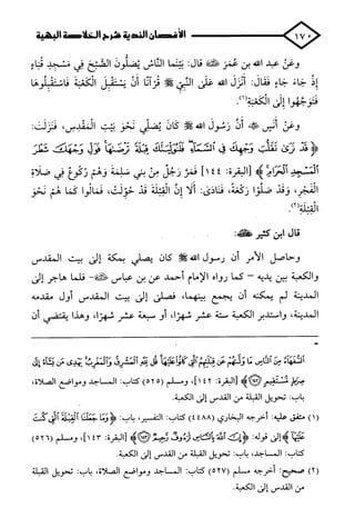 الأغصان الندية في شرح السيرة النبوية