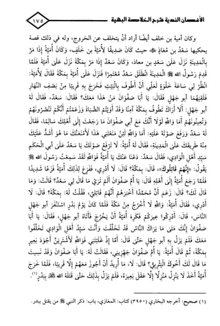 الأغصان الندية في شرح السيرة النبوية