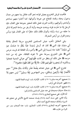 الأغصان الندية في شرح السيرة النبوية