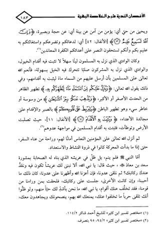 الأغصان الندية في شرح السيرة النبوية