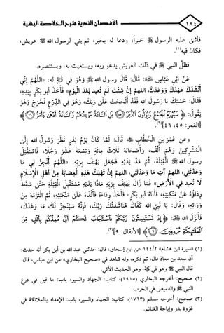 الأغصان الندية في شرح السيرة النبوية