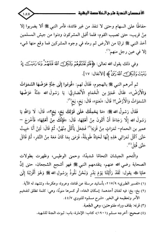 الأغصان الندية في شرح السيرة النبوية