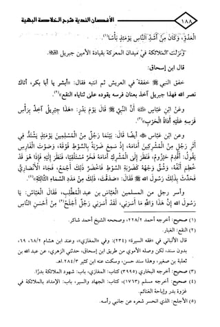 الأغصان الندية في شرح السيرة النبوية