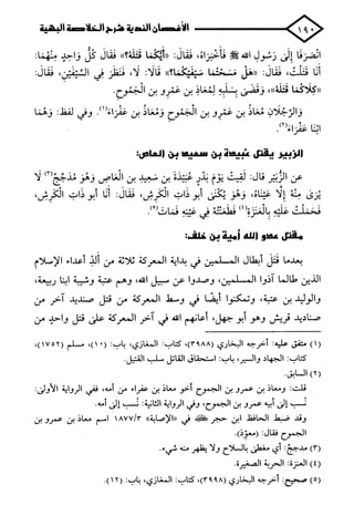 الأغصان الندية في شرح السيرة النبوية