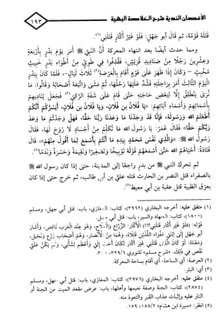 الأغصان الندية في شرح السيرة النبوية