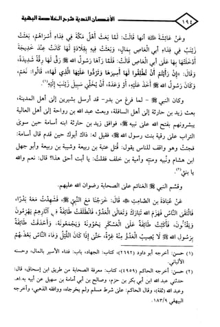 الأغصان الندية في شرح السيرة النبوية