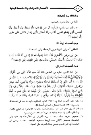 الأغصان الندية في شرح السيرة النبوية