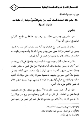 الأغصان الندية في شرح السيرة النبوية