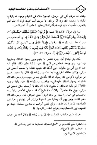 الأغصان الندية في شرح السيرة النبوية