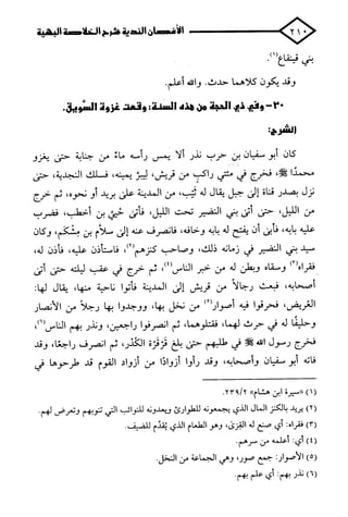 الأغصان الندية في شرح السيرة النبوية