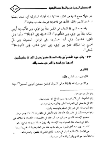 الأغصان الندية في شرح السيرة النبوية