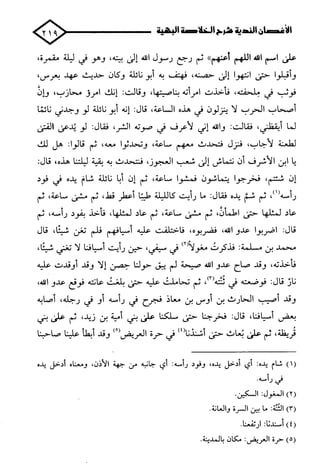 الأغصان الندية في شرح السيرة النبوية