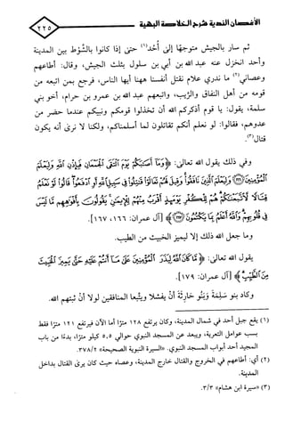 الأغصان الندية في شرح السيرة النبوية