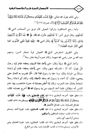 الأغصان الندية في شرح السيرة النبوية