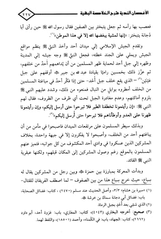 الأغصان الندية في شرح السيرة النبوية