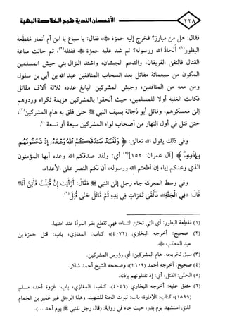 الأغصان الندية في شرح السيرة النبوية