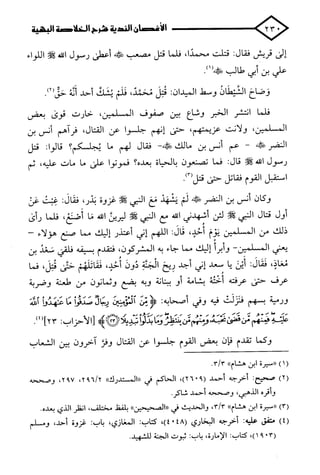 الأغصان الندية في شرح السيرة النبوية
