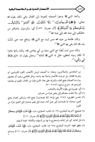 الأغصان الندية في شرح السيرة النبوية